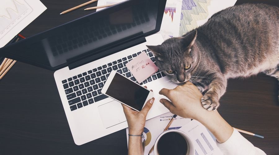 Why Remote Work Has Become the New Normal Why Remote Work Has Become the New Normal